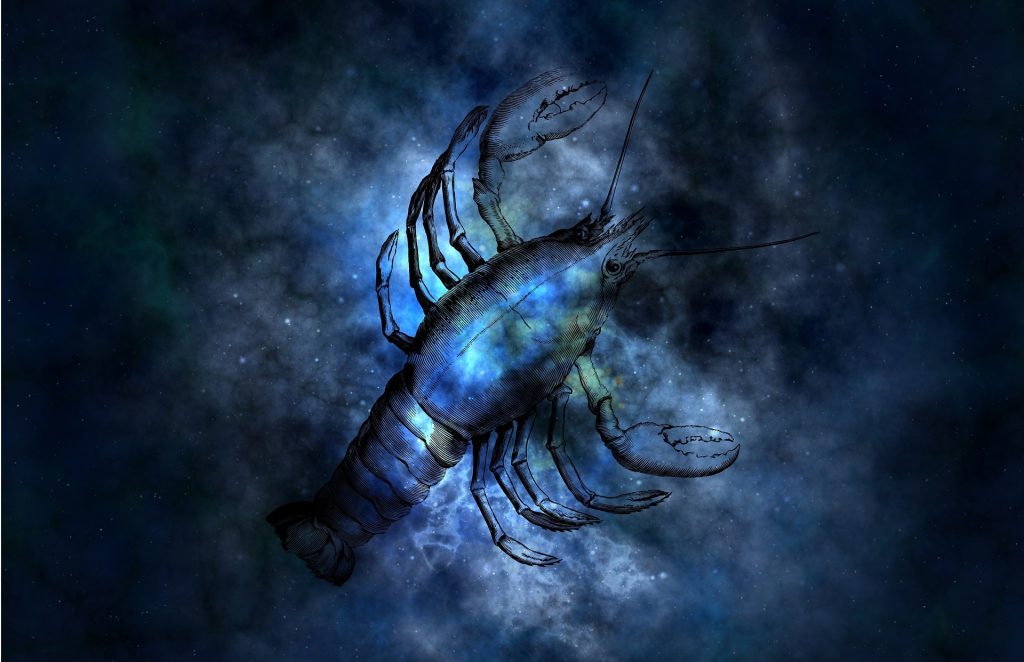 Mjesečni horoskop za Rakove Lavove i Djevice!, Veliki godišnji horoskop po znakovima