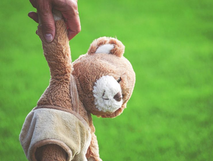 photo of person holding brown teddy bear