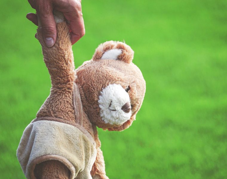 photo of person holding brown teddy bear