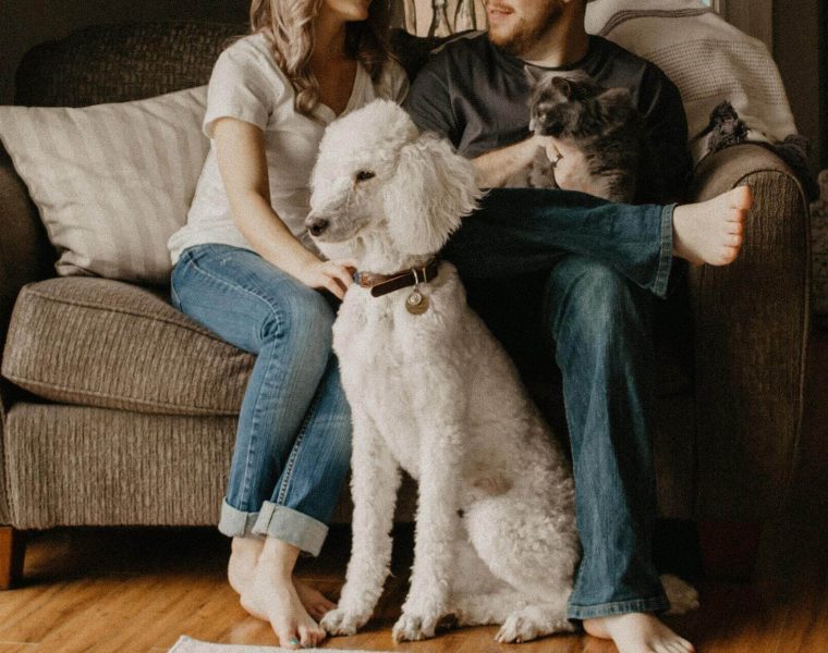 Ljubavni horoskop za listopad Sreća prati hrabre