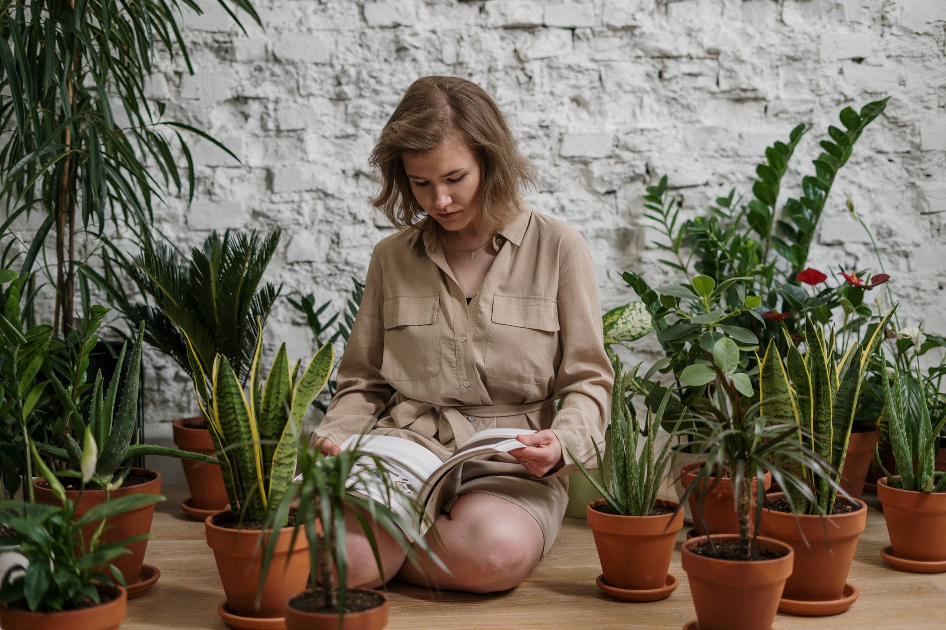 Patnja, woman sitting while reading book near potted plants