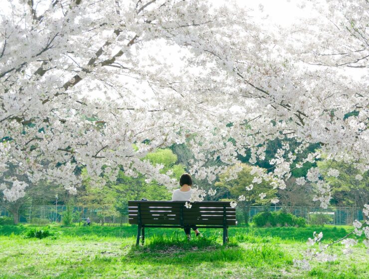 proljetna ravnodnevica, back view of a woman sitting on a bench
