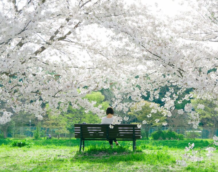proljetna ravnodnevica, back view of a woman sitting on a bench