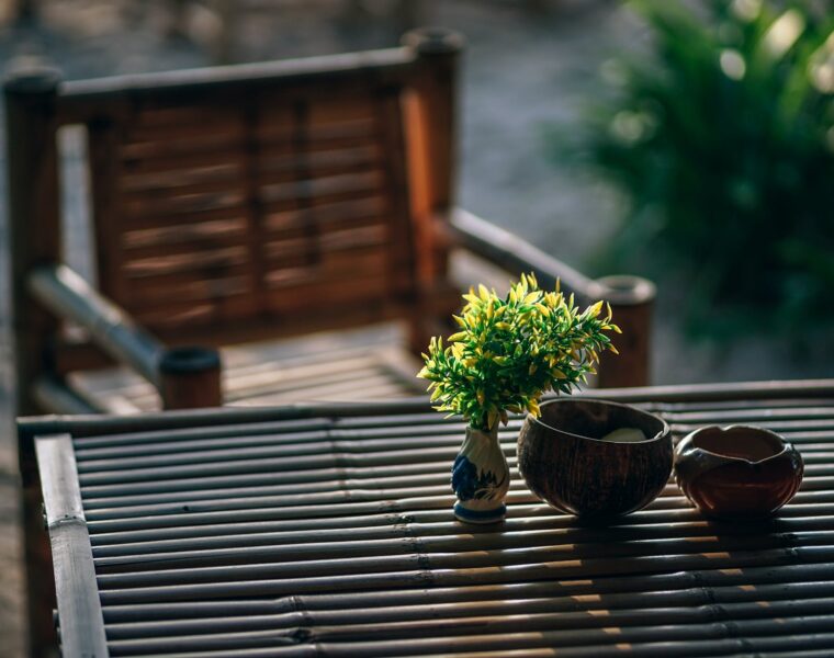 selective focus photography of green leafed plant on table