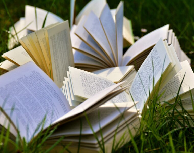 Nestala je kolumnistica?!, book pages books close up grass