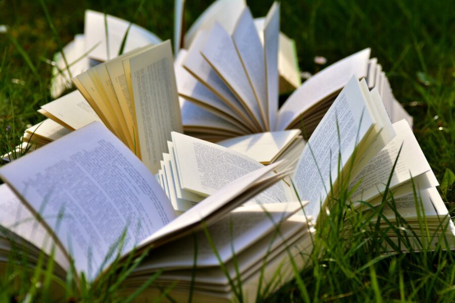 Nestala je kolumnistica?!, book pages books close up grass
