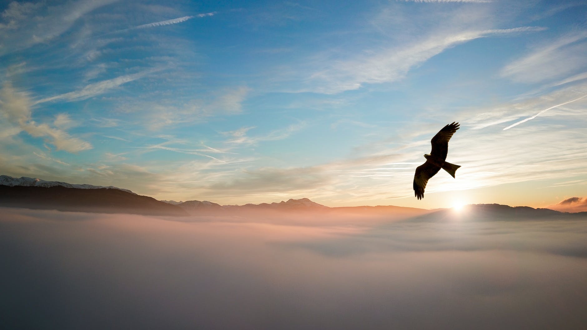 Mijenja li nas odluka ili vrijeme?

silhouette of bird above clouds