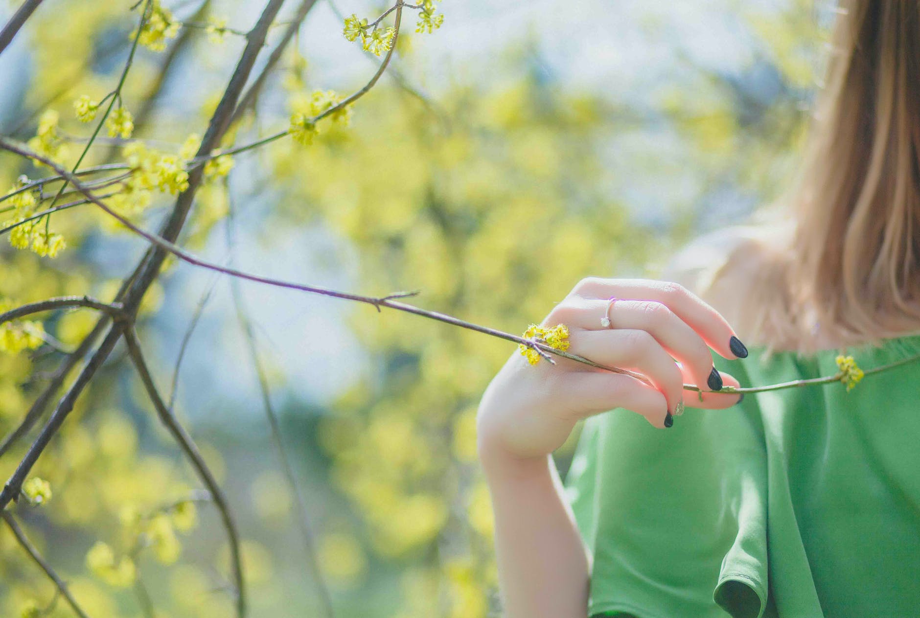 Zaljubljeni u sebe žrtva emotivnog zlostavljanja, closeup photography of woman wearing green top holding leaf
