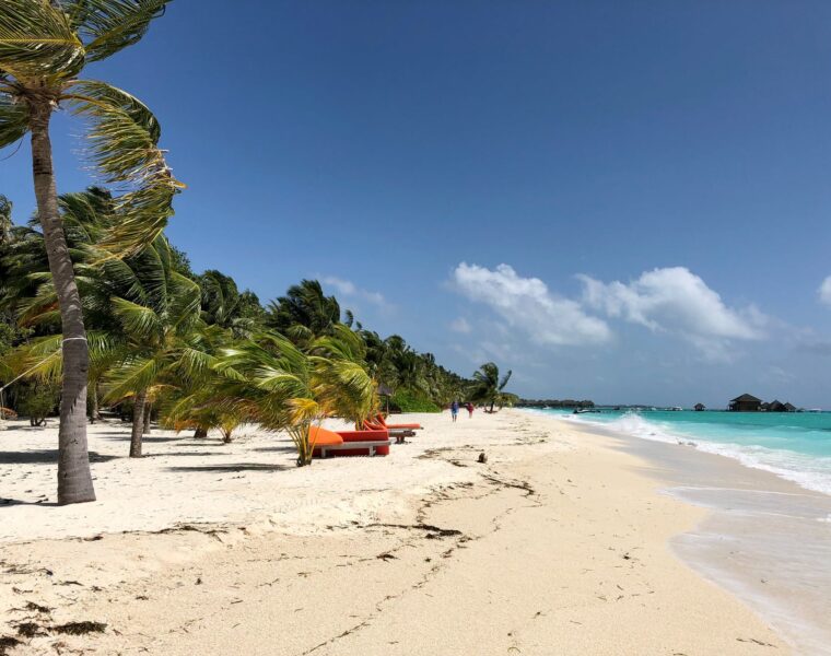 Mjesečni horoskop za srpanj 2022., wind blowing on tropical seashore