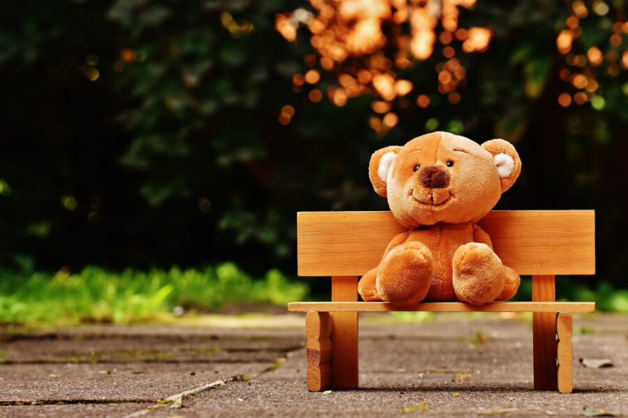 Savršen alibi, brown teddy bear on brown wooden bench outside