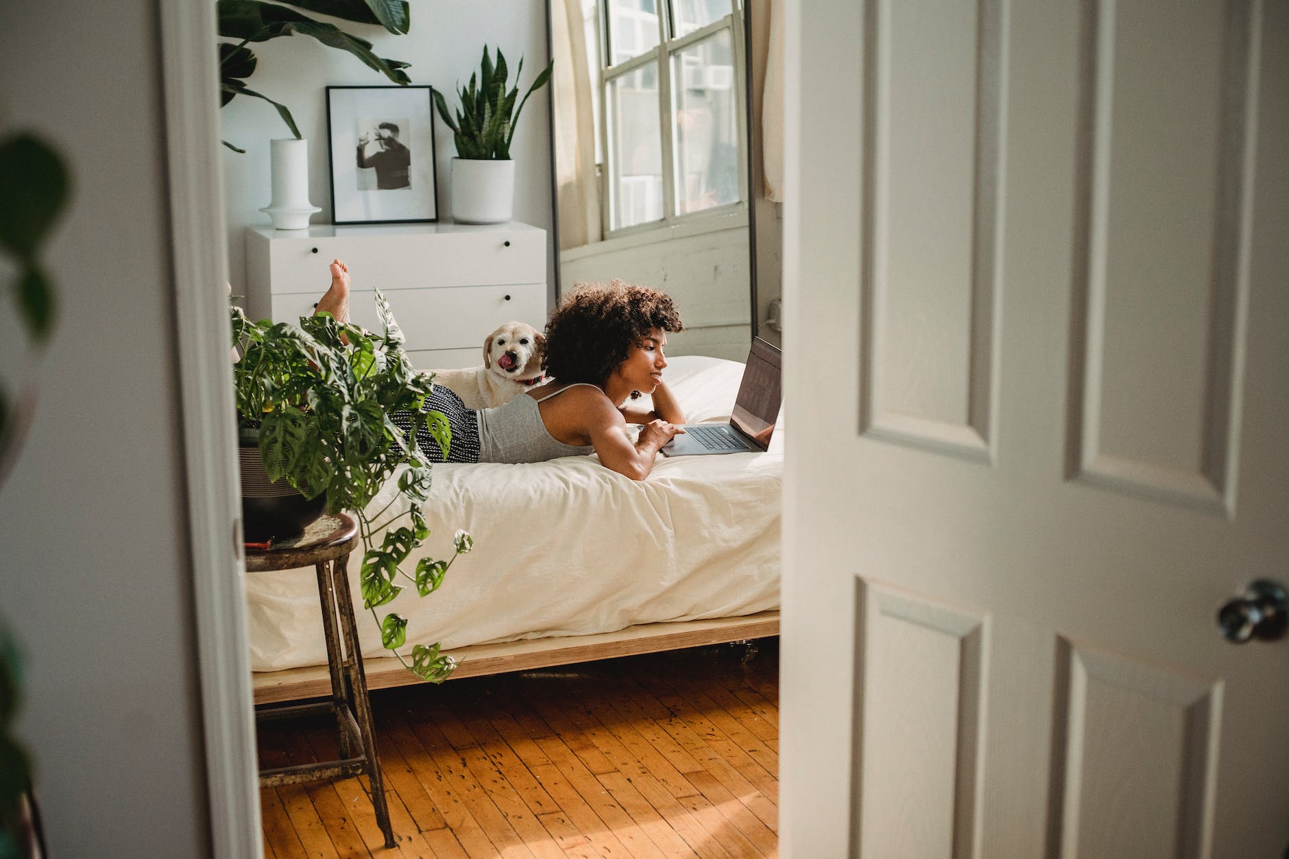 biljke u spavaćoj sobi

black woman watching laptop near purebred dog on bed