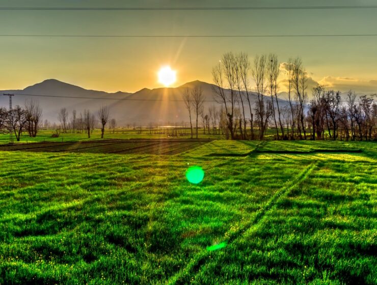 Maya Angelou, golden hour view on the mountain