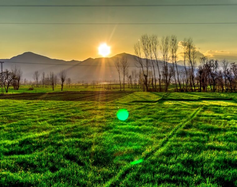 Maya Angelou, golden hour view on the mountain