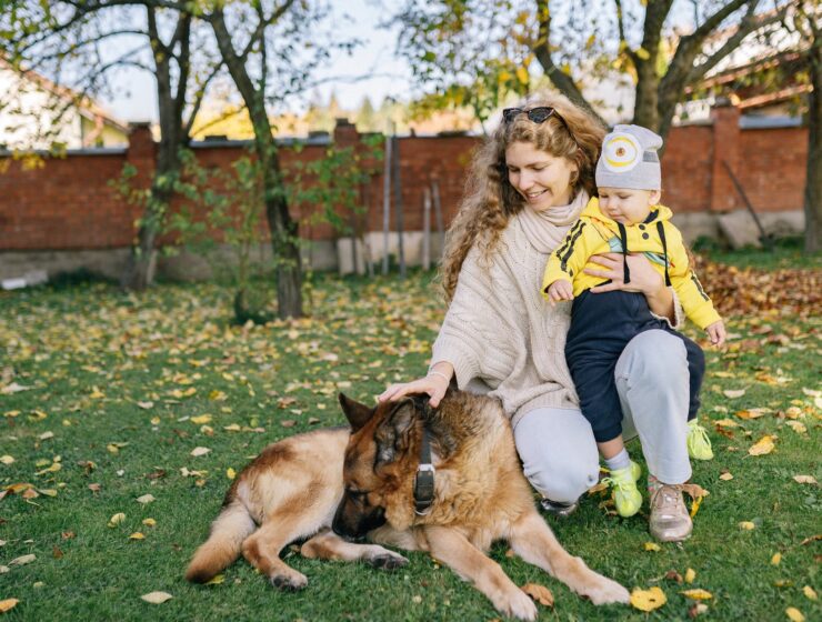 Kada roditelji uskrate ljubav, woman petting a dog while carrying a baby