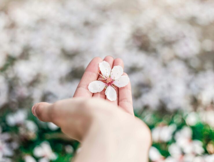 Planetarne igre srca Ti si jača od svoje traume