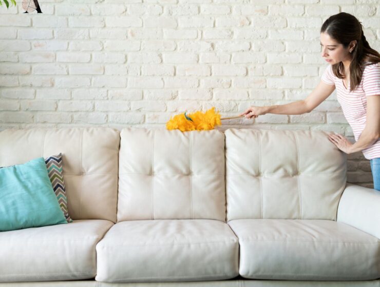 Objavljujemo rat prašini