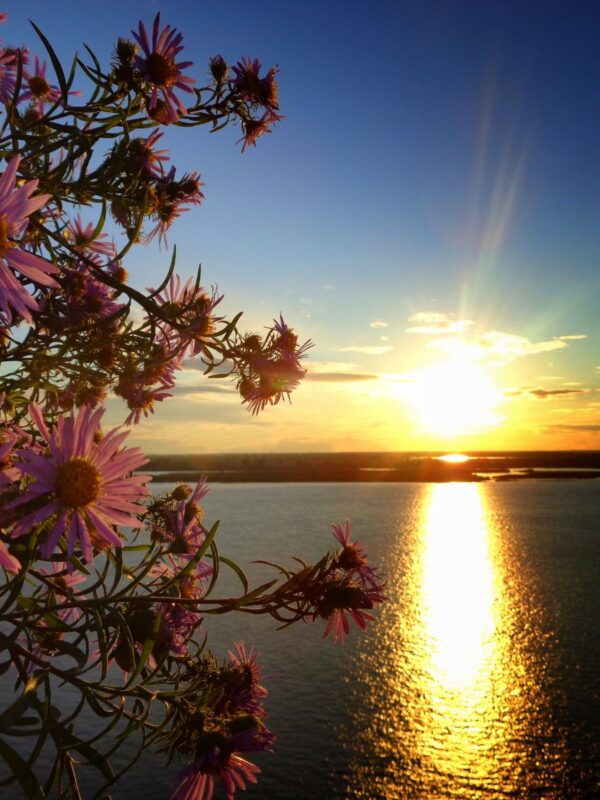 Sunce u Blizancima Rujan u Zodijaku,