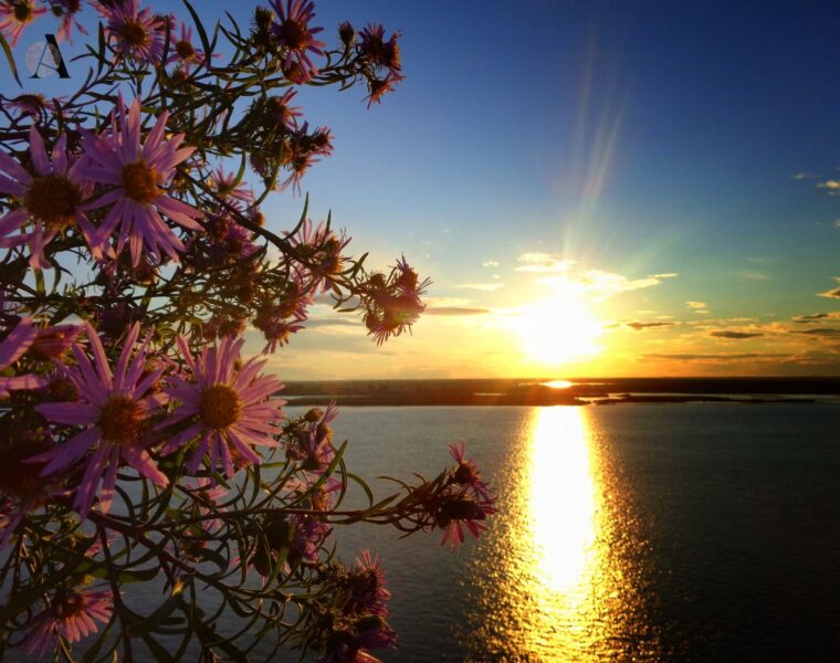 Sunce u Blizancima Rujan u Zodijaku,