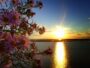 Sunce u Blizancima Rujan u Zodijaku,