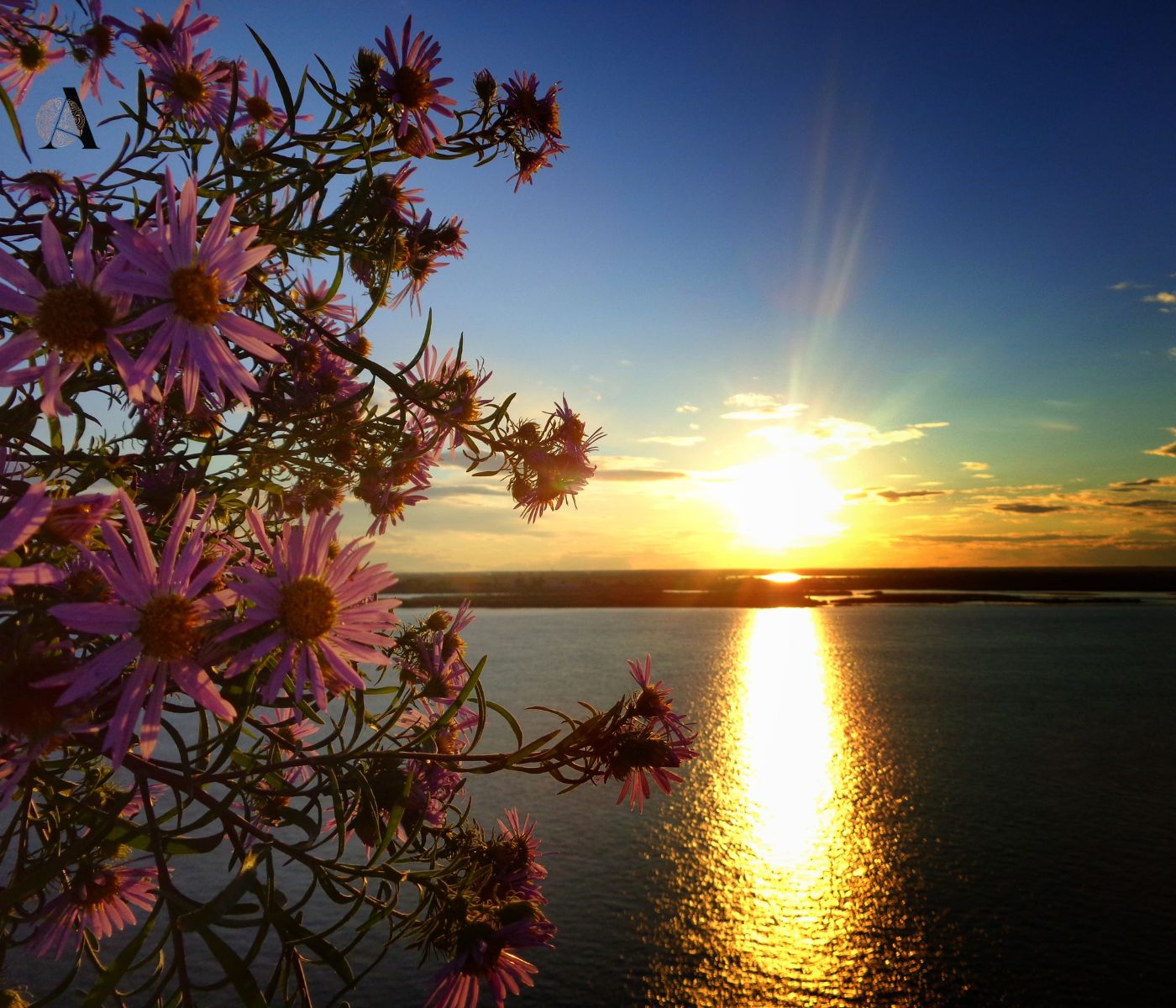 Sunce u Blizancima Rujan u Zodijaku,