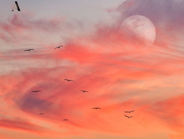 Pun Mjesec i pomrčina 14.3. Pun Mjesec u Ovnu