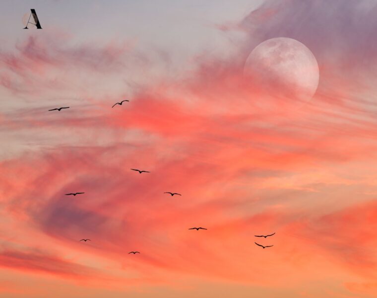 Pun Mjesec i pomrčina 14.3. Pun Mjesec u Ovnu