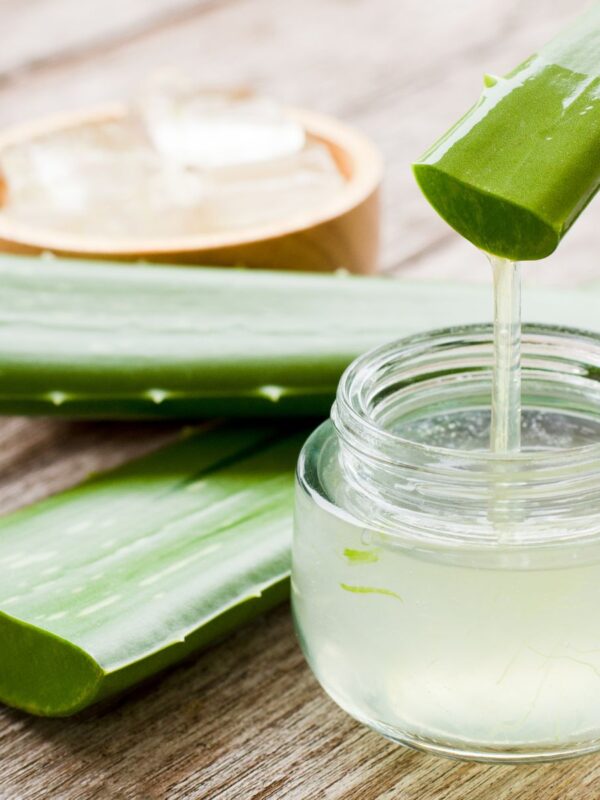 Aloe vera