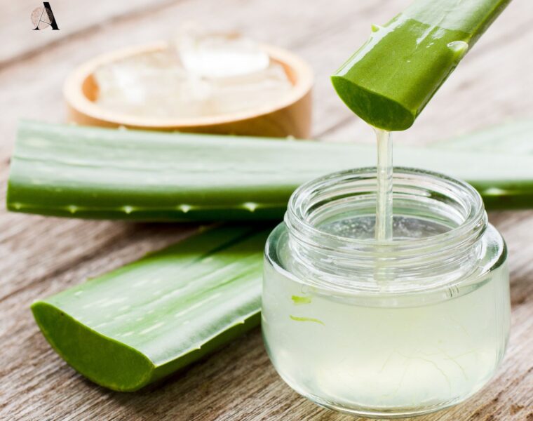 Aloe vera