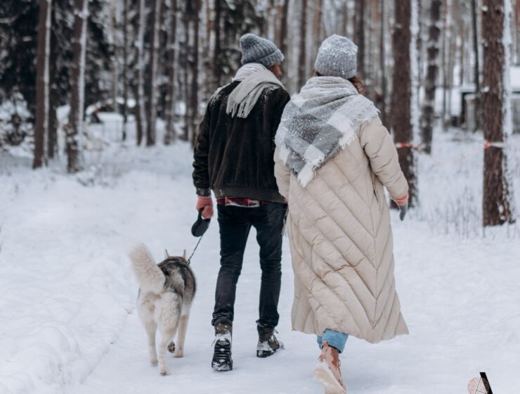 Šetnja po zimi je smrt za depresiju i višak kilograma Tišina koja odjekuje Ljubav u siječnju