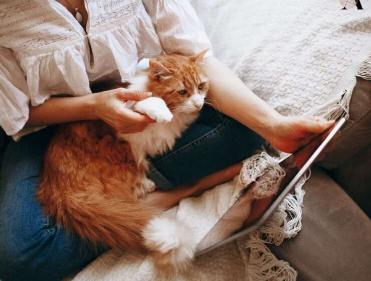 Previše vremena kod kuće