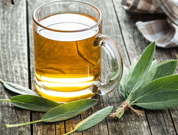 Domaći liker od kadulje