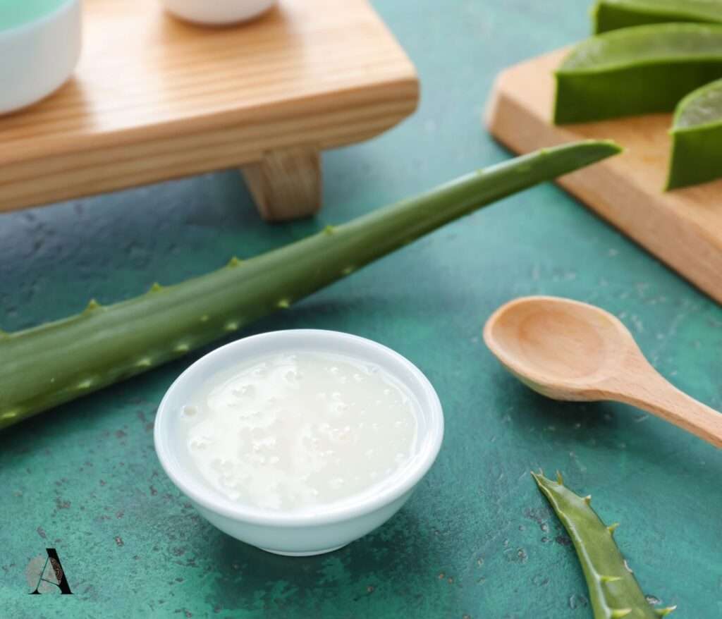 Aloe Vera