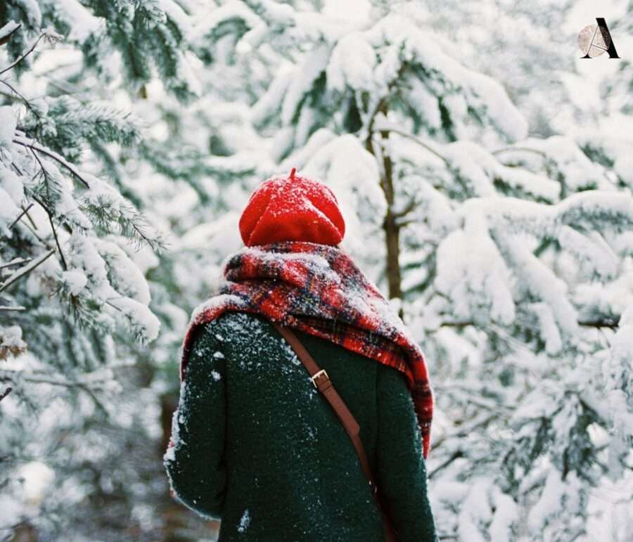 horoskop za siječanj 2026. Predblagdanski detox duše