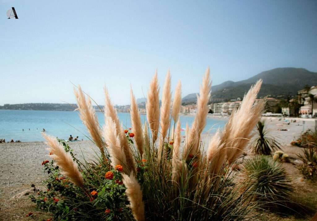 cvijeće za visoke tegle